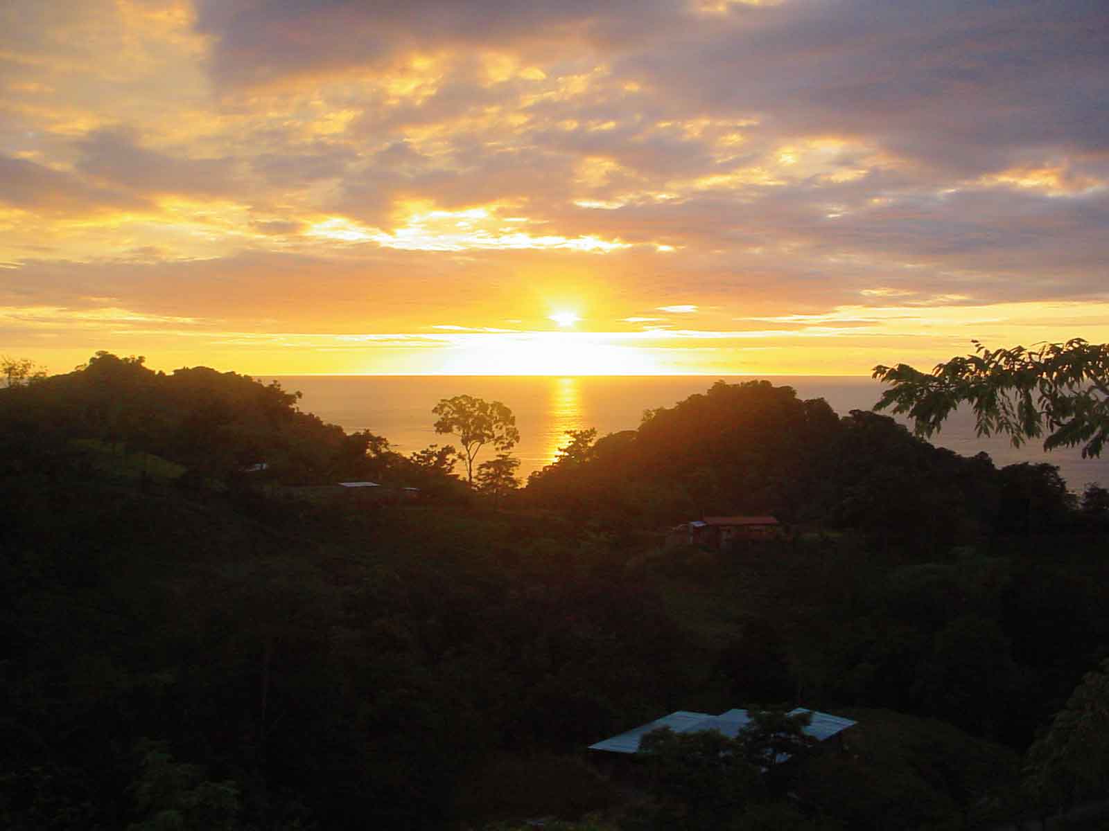 manuel antonio